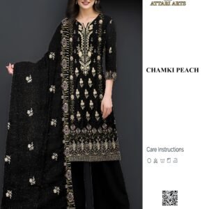 Luxury Chamki Dhanak Embroidery Collection | VOL-205