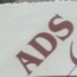 Abid Dupatta And Shawls