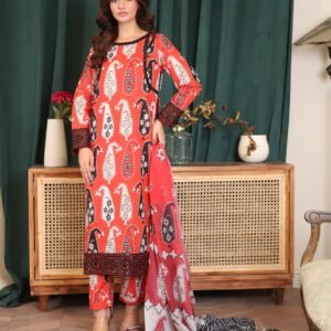 Premium Ready Made 3PC Suit Collection for Women